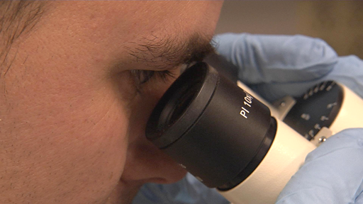 Student at microscope